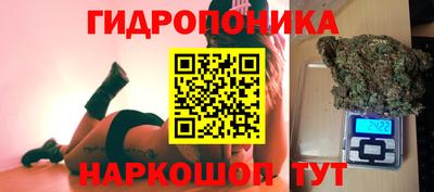 прущие грибы Северобайкальск