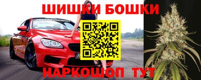 прущие грибы Северобайкальск