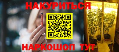 прущие грибы Северобайкальск