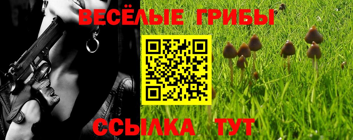 как найти   Псилоцибиновые грибы Magic Shrooms  Вход с VPN  Семилуки 