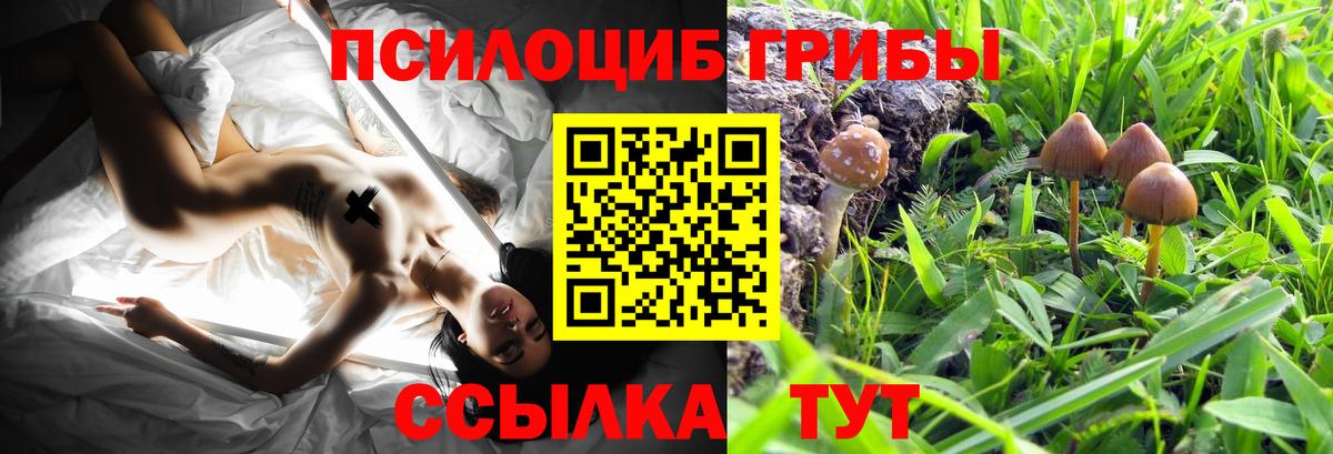 Псилоцибиновые грибы Magic Shrooms Семилуки